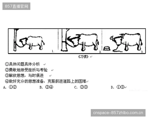 迈阿密港棒球入境抽检流程革新：通过引入自动化落体测试设备，将罗林斯产品的COR符合性验证周期从48小时压缩至4小时
